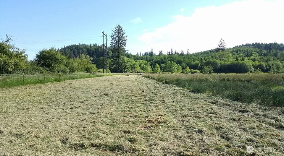 468 Parpala Road Naselle, WA 98638 - Photo 15 of 18