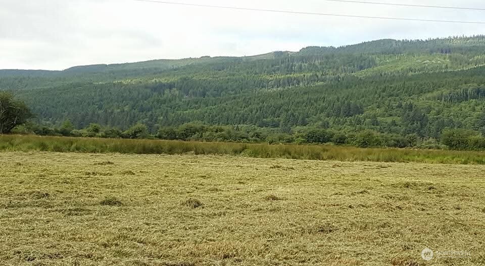 468 Parpala Road Naselle, WA 98638 - Photo 16 of 18