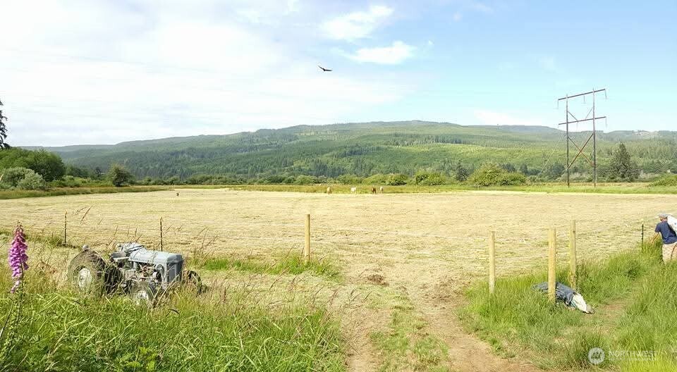 468 Parpala Road Naselle, WA 98638 - Photo 17 of 18