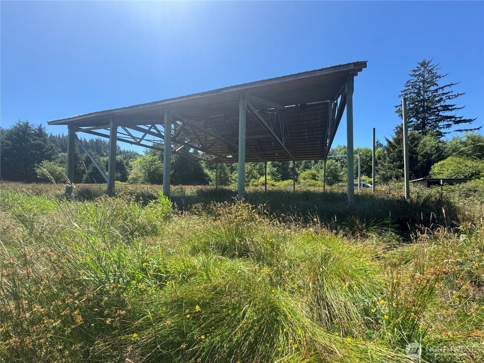 468 Parpala Road Naselle, WA 98638 - Photo 5 of 18