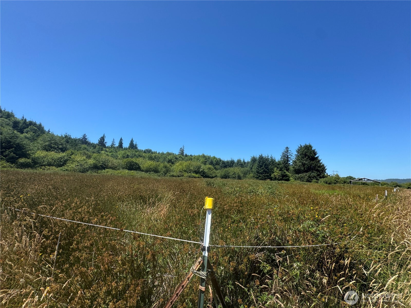 468 Parpala Road Naselle, WA 98638 - Photo 7 of 18