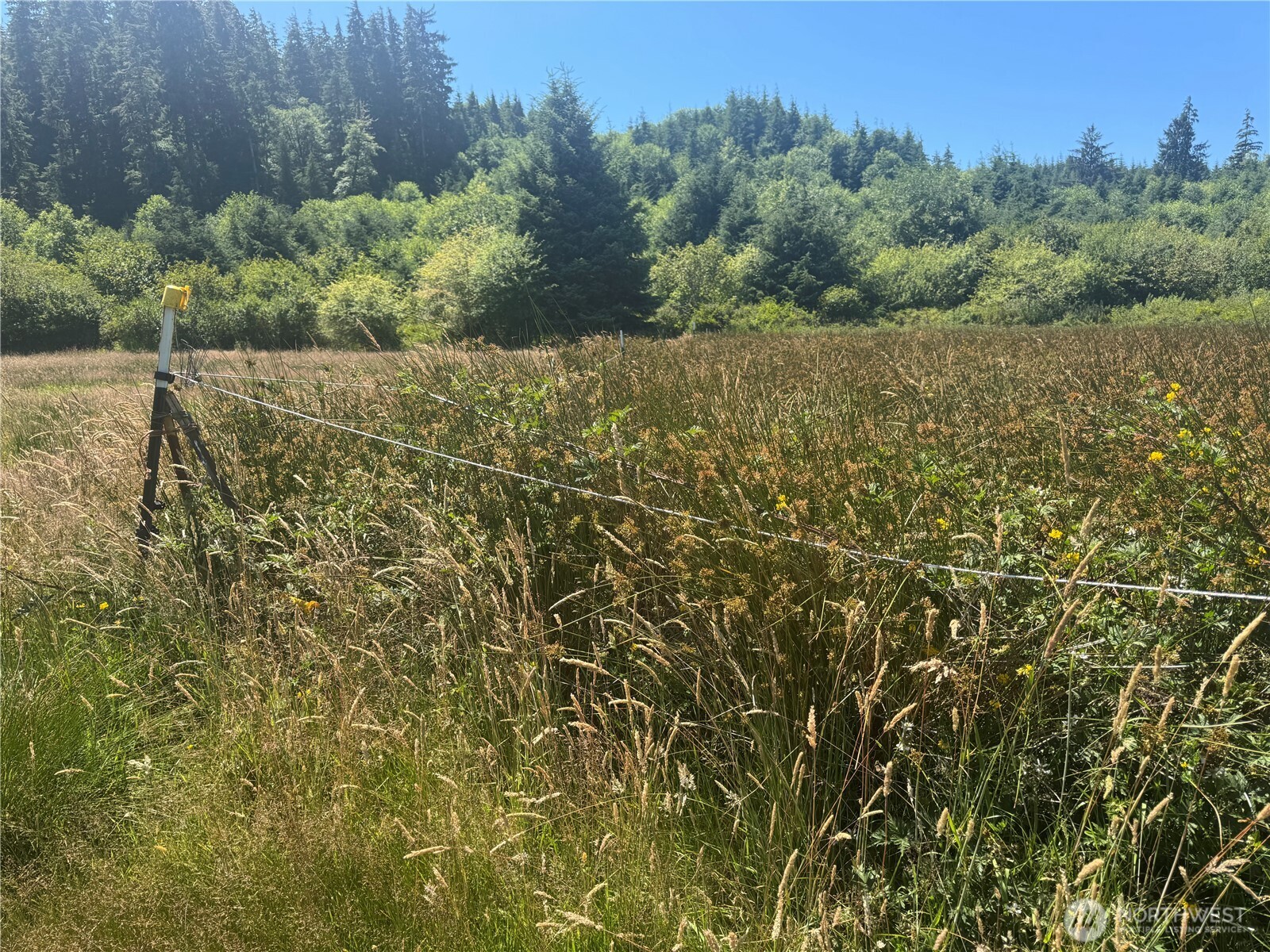 468 Parpala Road Naselle, WA 98638 - Photo 8 of 18