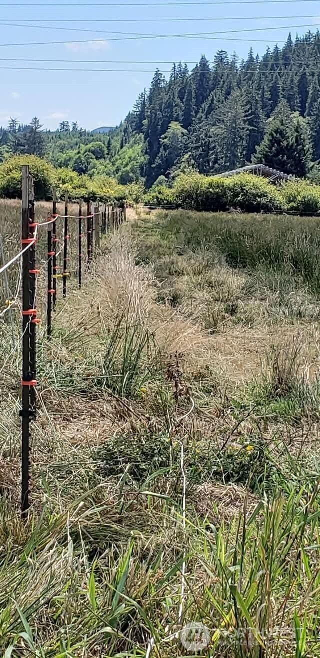 468 Parpala Road Naselle, WA 98638 - Photo 9 of 18