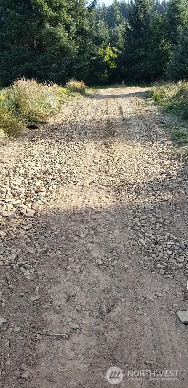 468 Parpala Road Naselle, WA 98638 - Photo 10 of 18