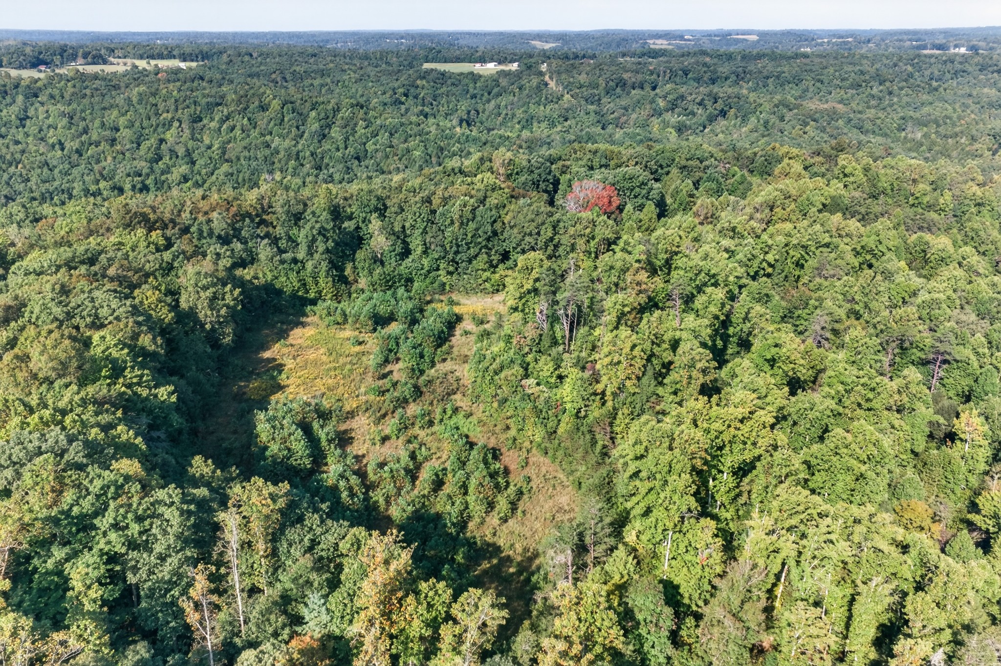 1475 Campground Road Clarkrange, TN 38553 - Photo 7 of 31 Gallery Image 7
