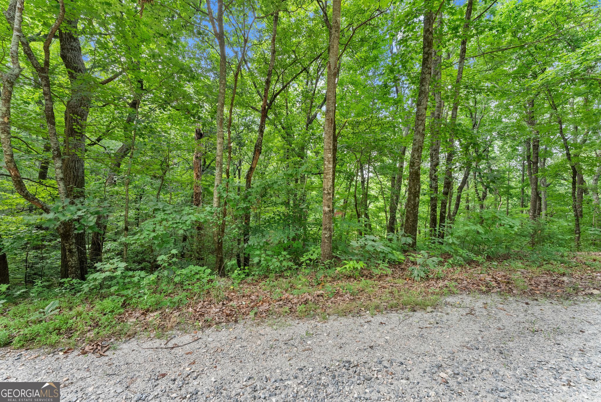 0 Wauka Ridge Road Clermont, GA 30527 - Photo 4 of 32