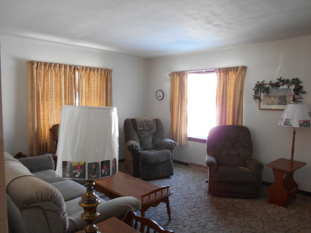 417 West Devlin Street Spring Valley, IL 61362 - Photo 3 of 9
