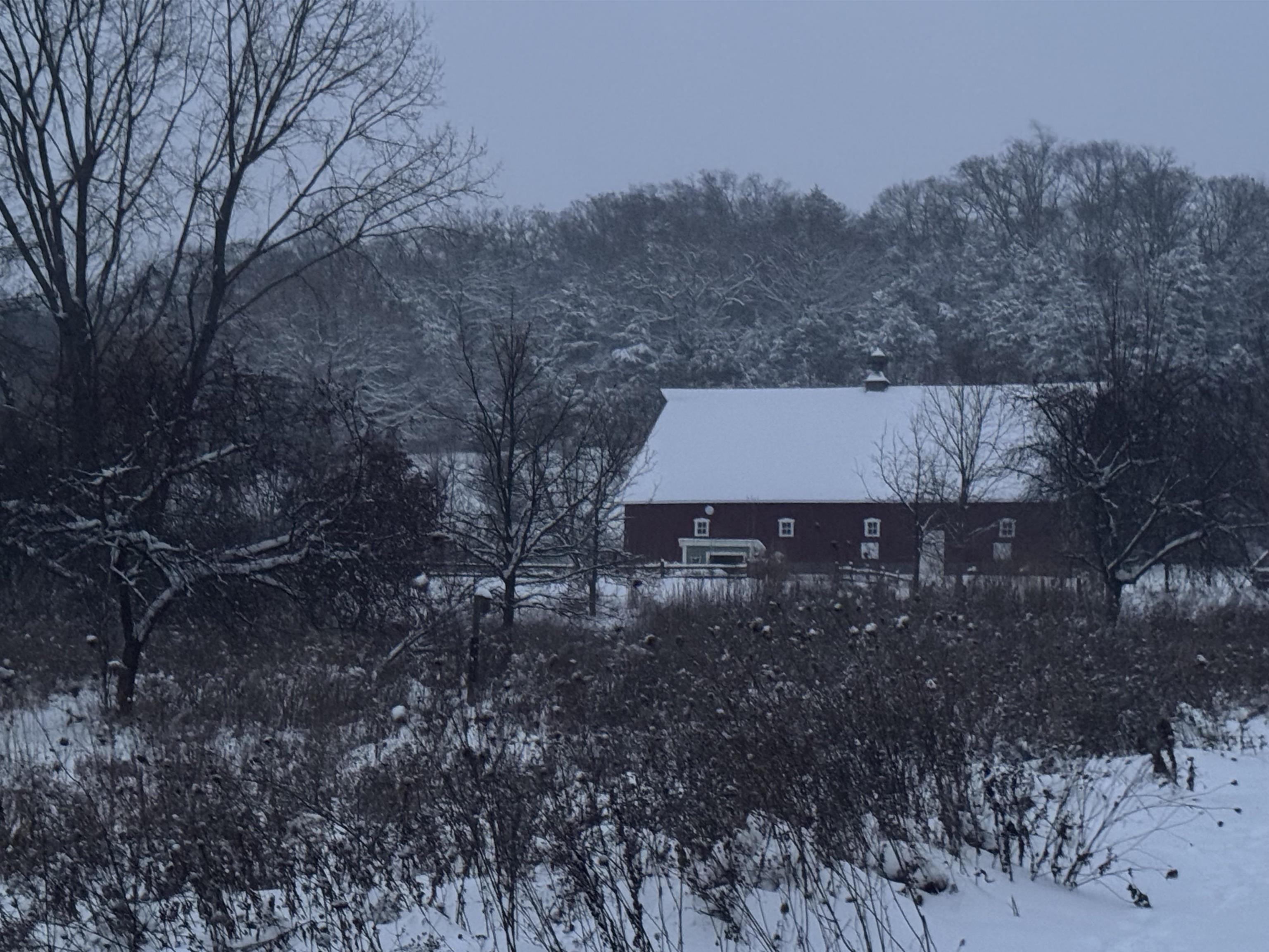 4989 North Ford Road Scales Mound, IL 61075 - Photo 77 of 93