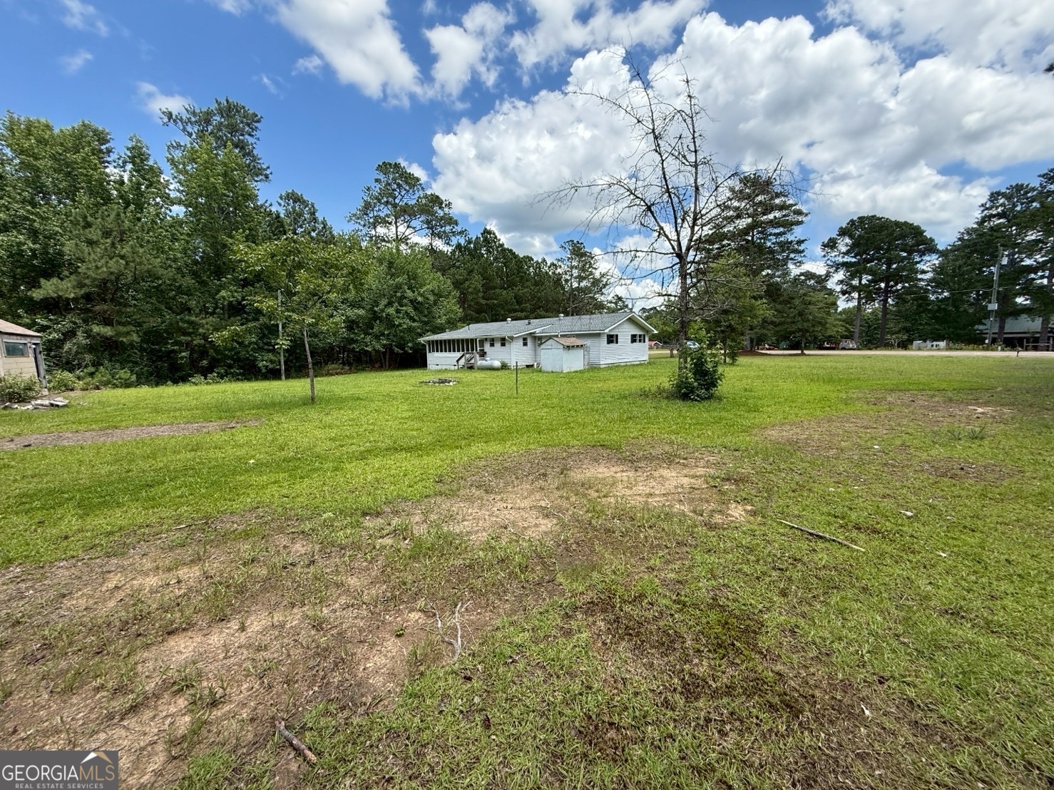 514 Phillips Road Warm Springs, GA 31830 - Photo 36 of 36 a view of a big yard with plants and large trees