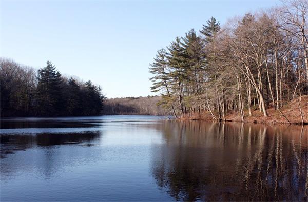18 Todd Pond Road Lincoln, MA 01773 - Photo 4 of 17 Gallery Image 4