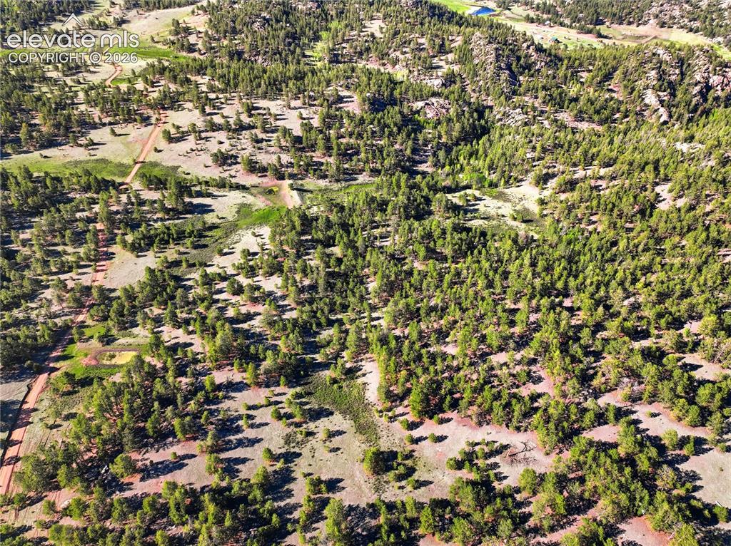 Doe Valley Road Guffey, CO 80820 - Photo 13 of 19 Expansive aerial landscape featuring a dense forest of evergreen trees and natural clearings