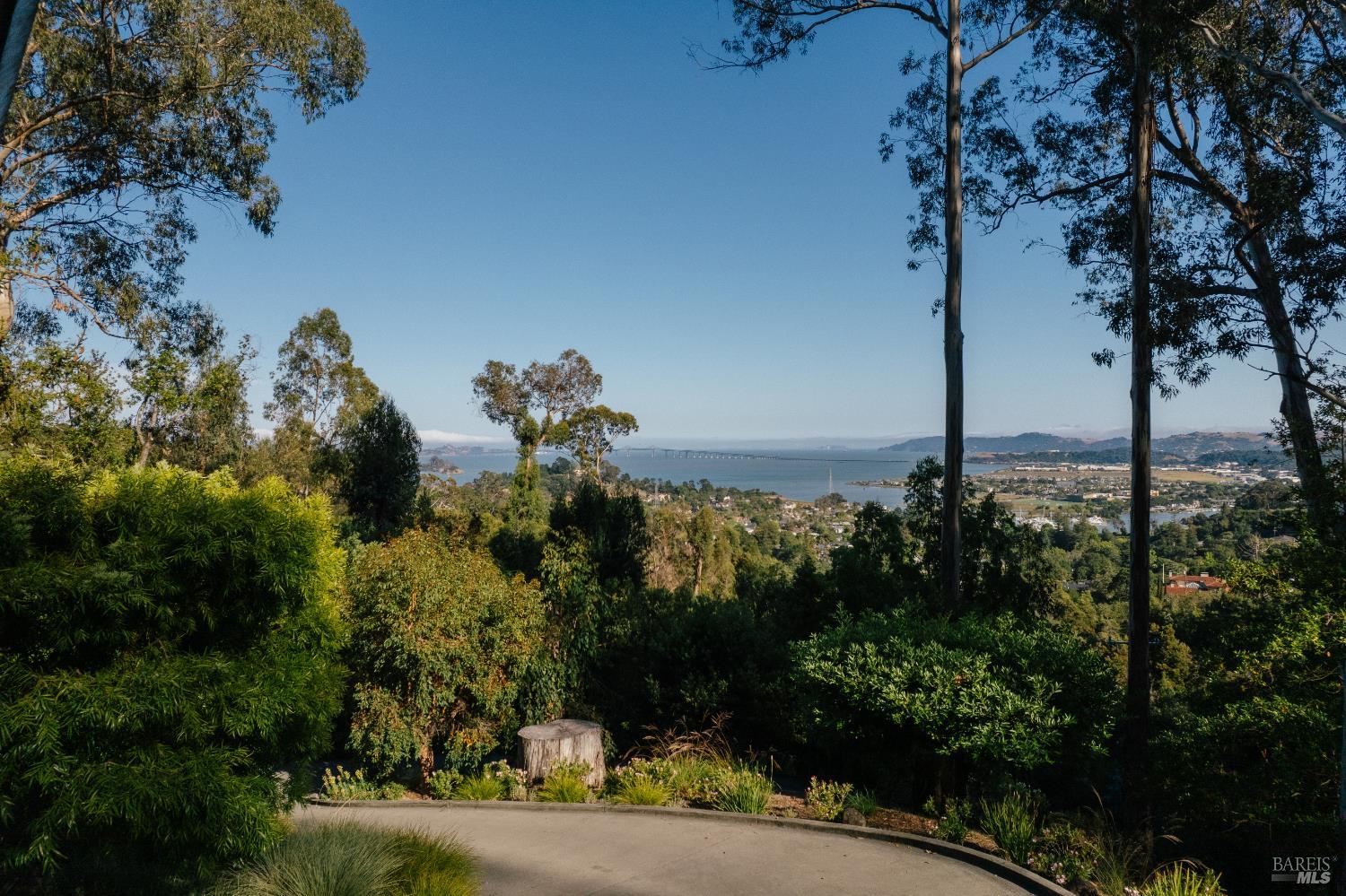 335 Highland Avenue San Rafael, CA 94901 - Photo 6 of 98