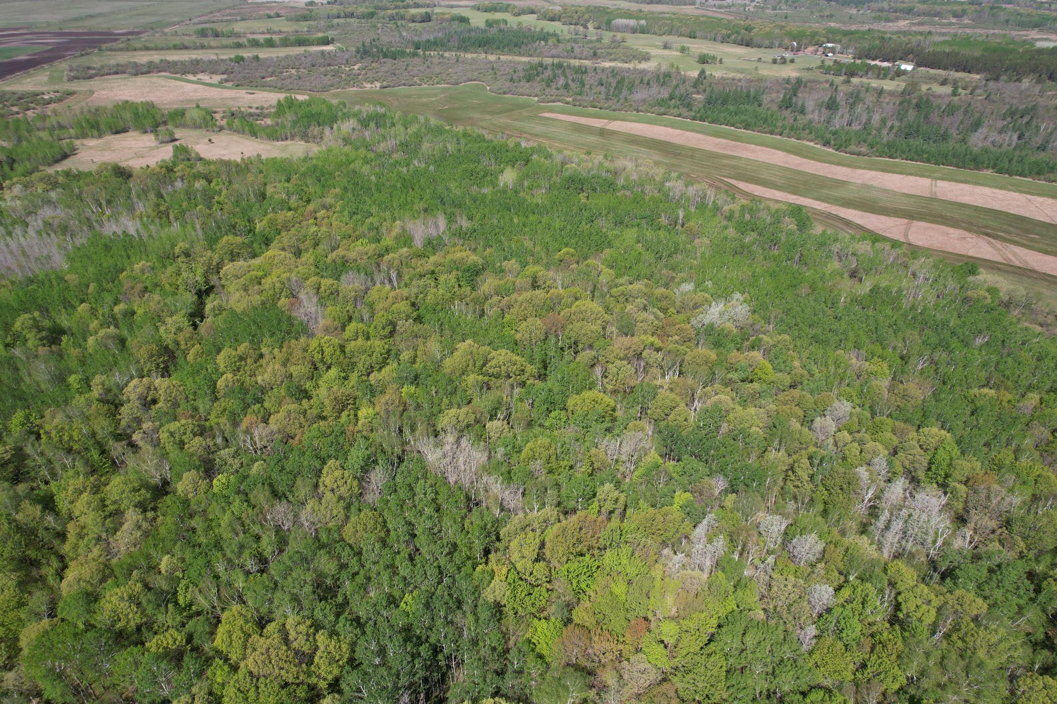 14 Sebeka Mn 56477 Sebeka, MN 56477 - Photo 2 of 79