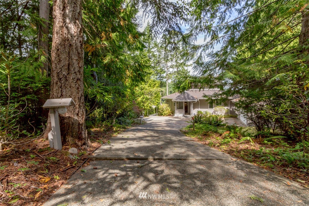 900 Rhododendron Lane Brinnon, WA 98320 - Photo 6 of 25 Gallery Image 6