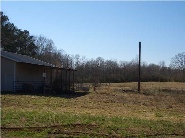 318 Hankins Road Rock Spring, GA 30739 - Photo 4 of 12 Additional Photo