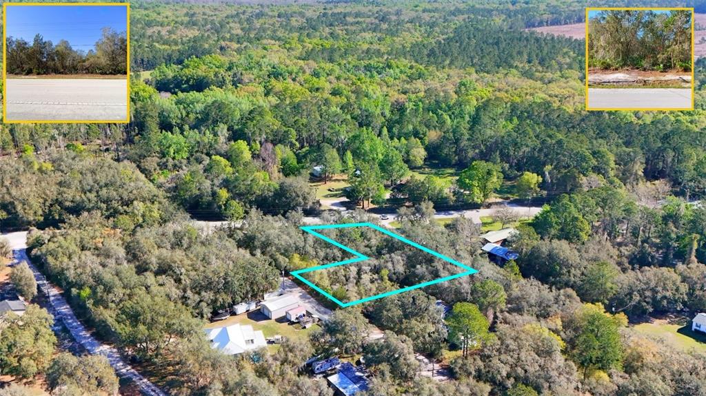 Tbd Tbd Corner Northeast Citra, FL 32113 - Photo 10 of 10 a view of a garden with plants