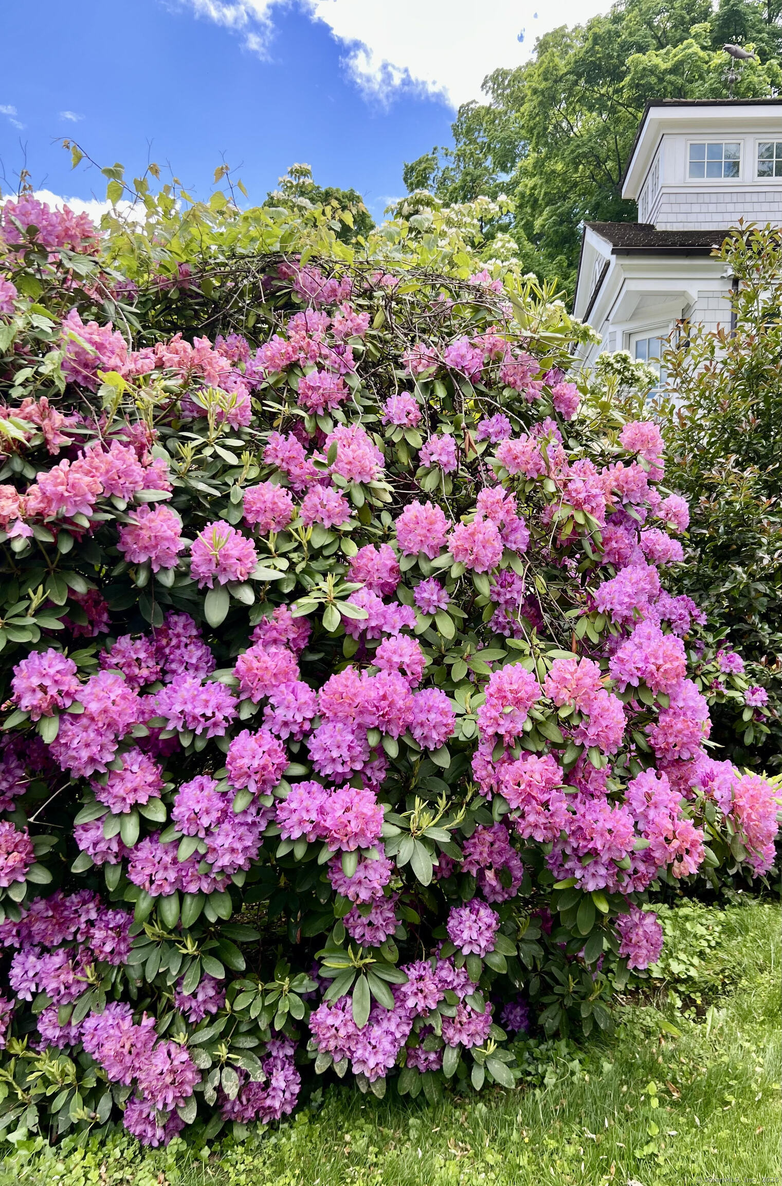 88 5 Mile River Road Darien, CT 06820 - Photo 32 of 39