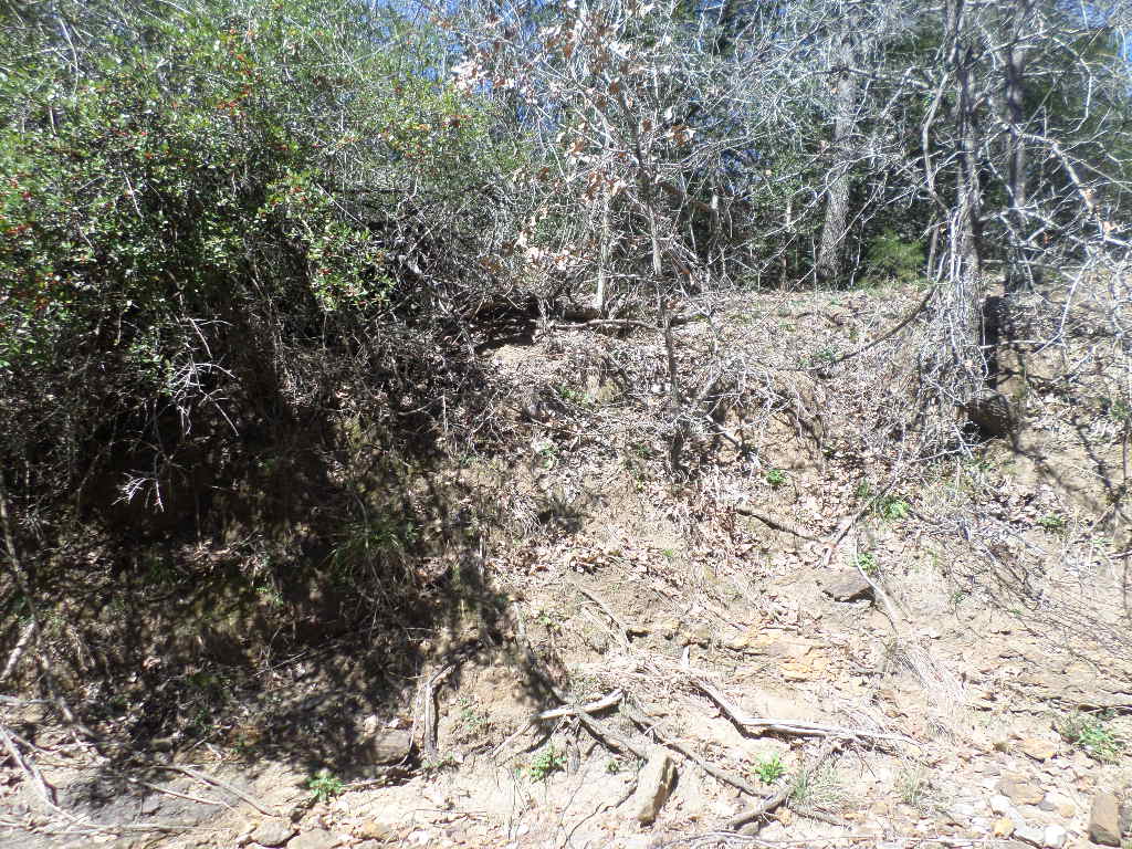 R68370 Walter Hoffman Road, Unit H Cedar Creek, TX 78612 - Photo 13 of 25 a view of a covered with large trees