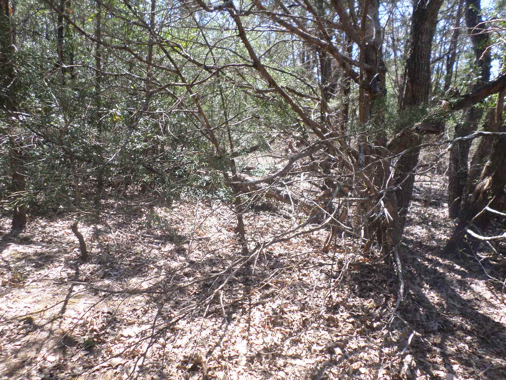 R68370 Walter Hoffman Road, Unit H Cedar Creek, TX 78612 - Photo 5 of 25