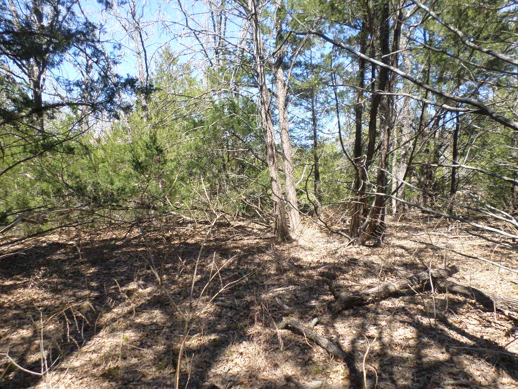 R68370 Walter Hoffman Road, Unit H Cedar Creek, TX 78612 - Photo 8 of 25 a backyard of a house with lots of green space