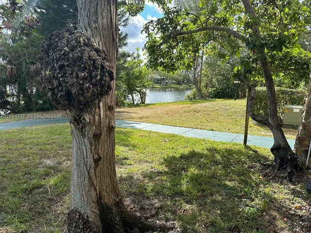 a view of a yard with a tree