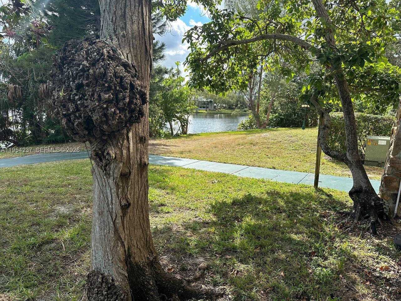 3720 Inverrary Drive, Unit 1L Lauderhill, FL 33319 - Photo 20 of 20 a view of a yard with a tree