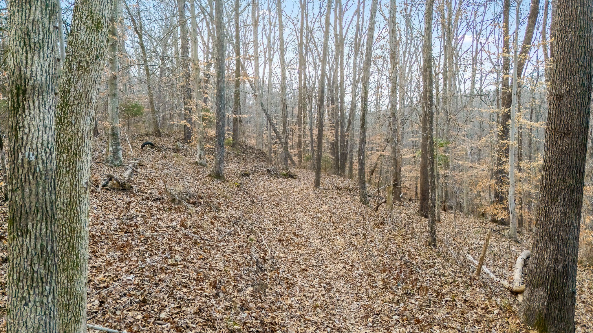745 Union Ridge Road Wartrace, TN 37183 - Photo 73 of 78