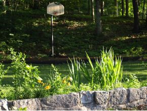 190 Skyline Road Jonesborough, TN 37659 - Photo 3 of 24 Front Yard