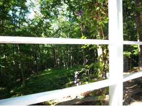 190 Skyline Road Jonesborough, TN 37659 - Photo 4 of 24 View to back from deck