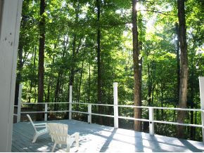 190 Skyline Road Jonesborough, TN 37659 - Photo 7 of 24 View to side yard