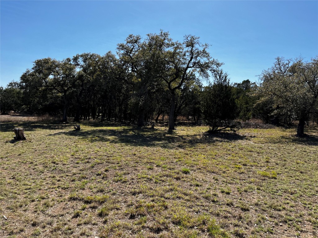 1212 Ridge Oak Drive Wimberley, TX 78676 - Photo 15 of 28 a view of swimming pool with outdoor seating and trees in the background