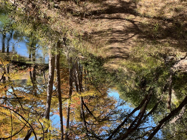 1212 Ridge Oak Drive Wimberley, TX 78676 - Photo 19 of 28 a view of lake with green space