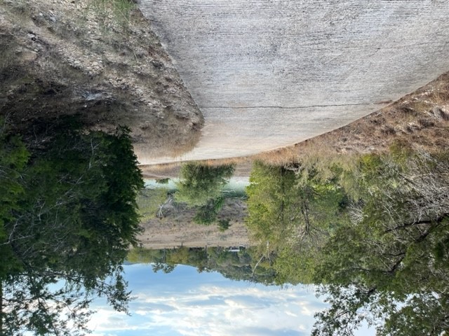 1212 Ridge Oak Drive Wimberley, TX 78676 - Photo 22 of 28 a view of a road with a yard