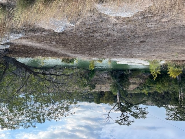 1212 Ridge Oak Drive Wimberley, TX 78676 - Photo 23 of 28 a view of a forest with trees in the background