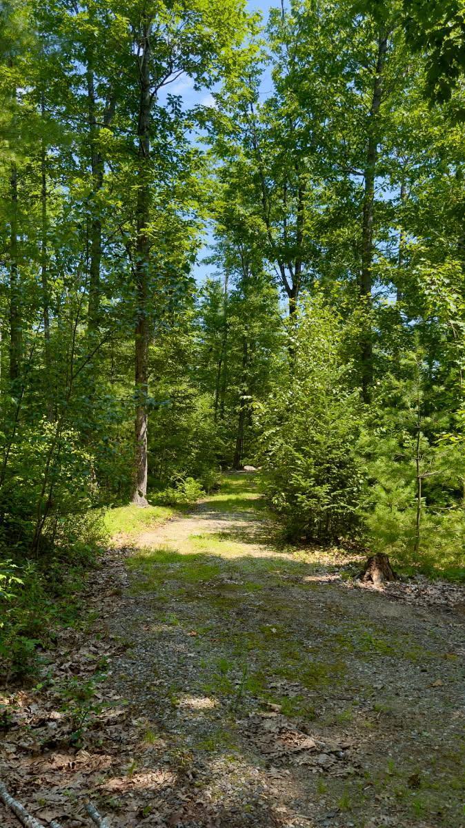 0 Head Tide Hill Road Alna, ME 04535 - Photo 10 of 12 image2
