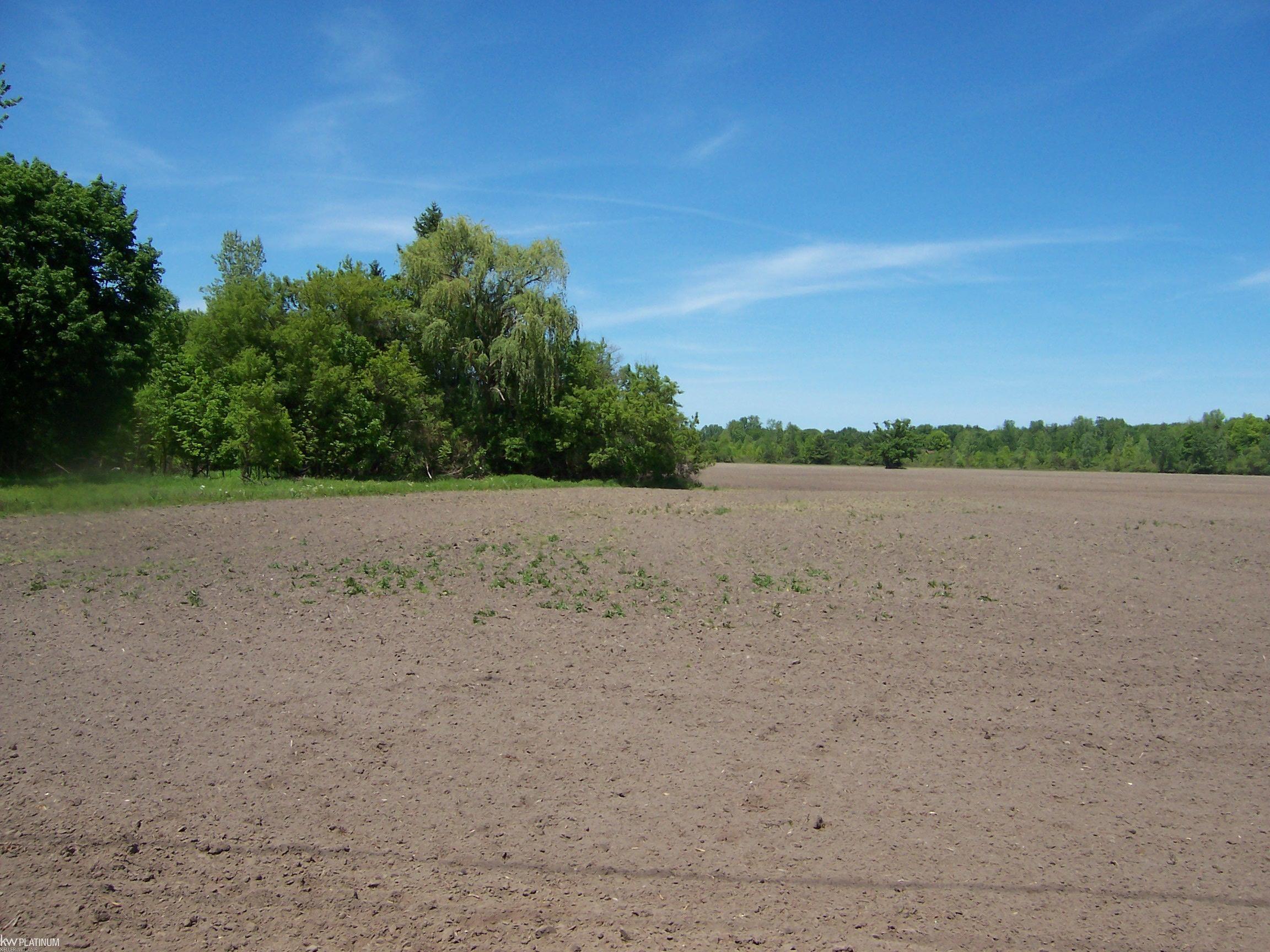 Lot 3 Lapeer Road Smiths Creek, MI 48074 - Photo 1 of 2