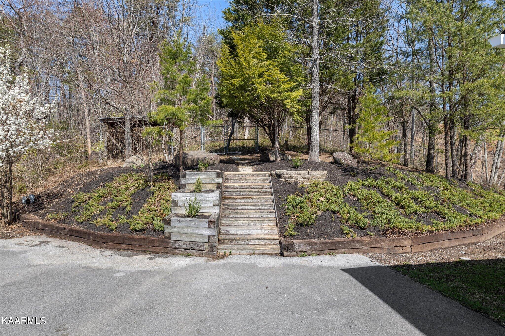 1044 Shadow Ridge Drive Sevierville, TN 37862 - Photo 3 of 38 06-IMG_6513