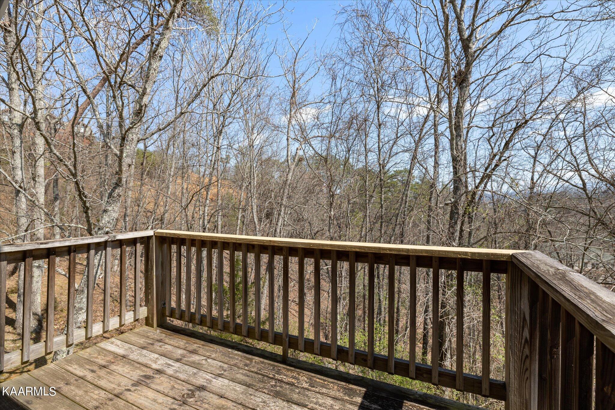 1044 Shadow Ridge Drive Sevierville, TN 37862 - Photo 38 of 38 68-IMG_6613