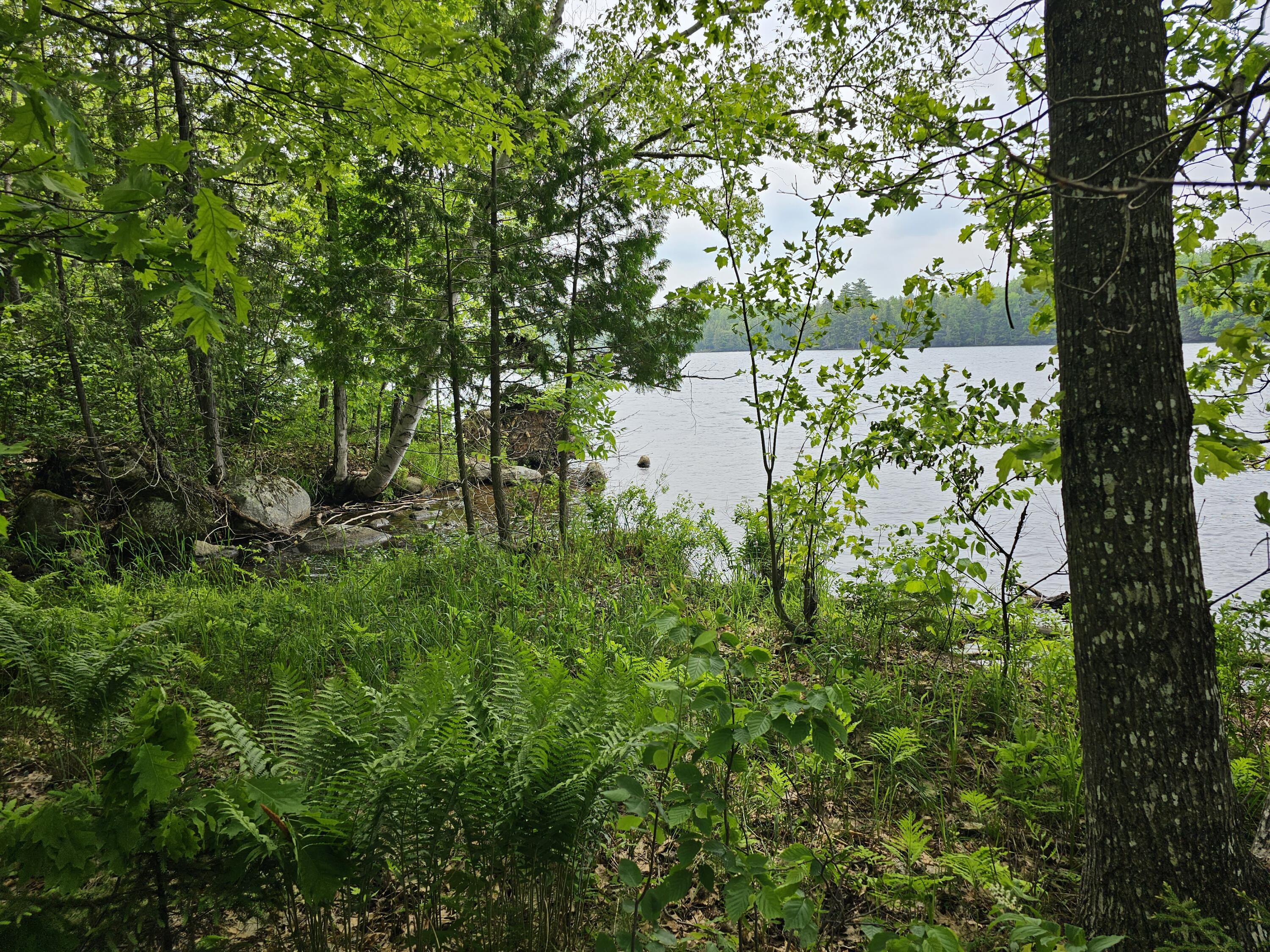 1676 Medway Road Medway, ME 04460 - Photo 64 of 67 20230613_105046