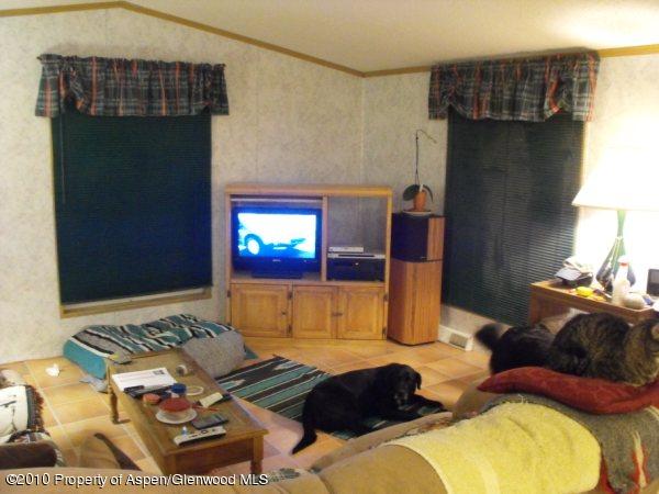 5033 335th Road, Unit SPACE #97 New Castle, CO 81647 - Photo 2 of 8 Living room