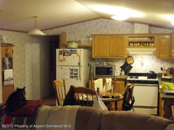 5033 335th Road, Unit SPACE #97 New Castle, CO 81647 - Photo 3 of 8 Kitchen