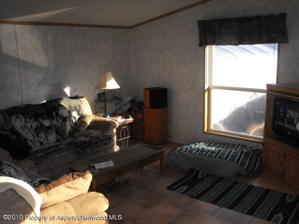 5033 335th Road, Unit SPACE #97 New Castle, CO 81647 - Photo 8 of 8 Living room