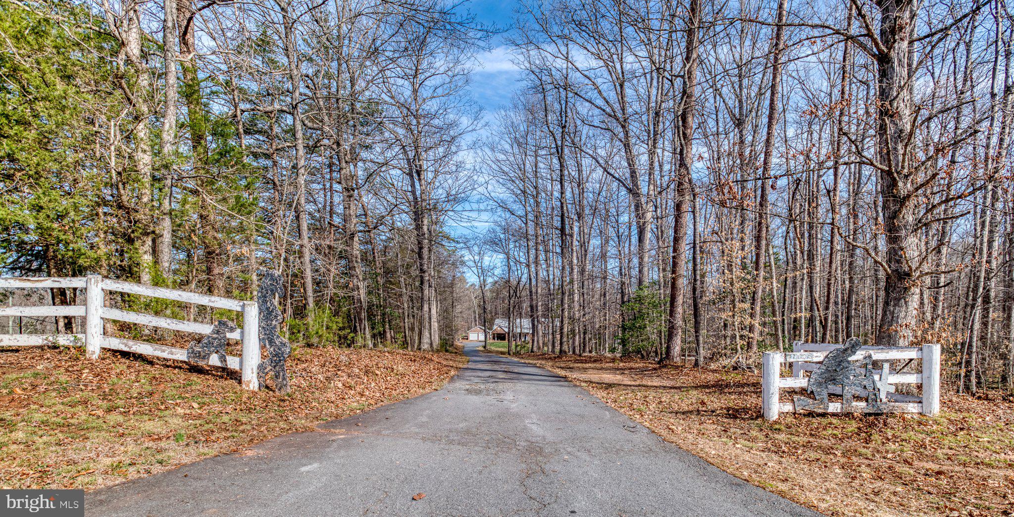 3220 Courtney School Road Midland, VA 22728 - Photo 2 of 111 Serene wooded driveway retreat.