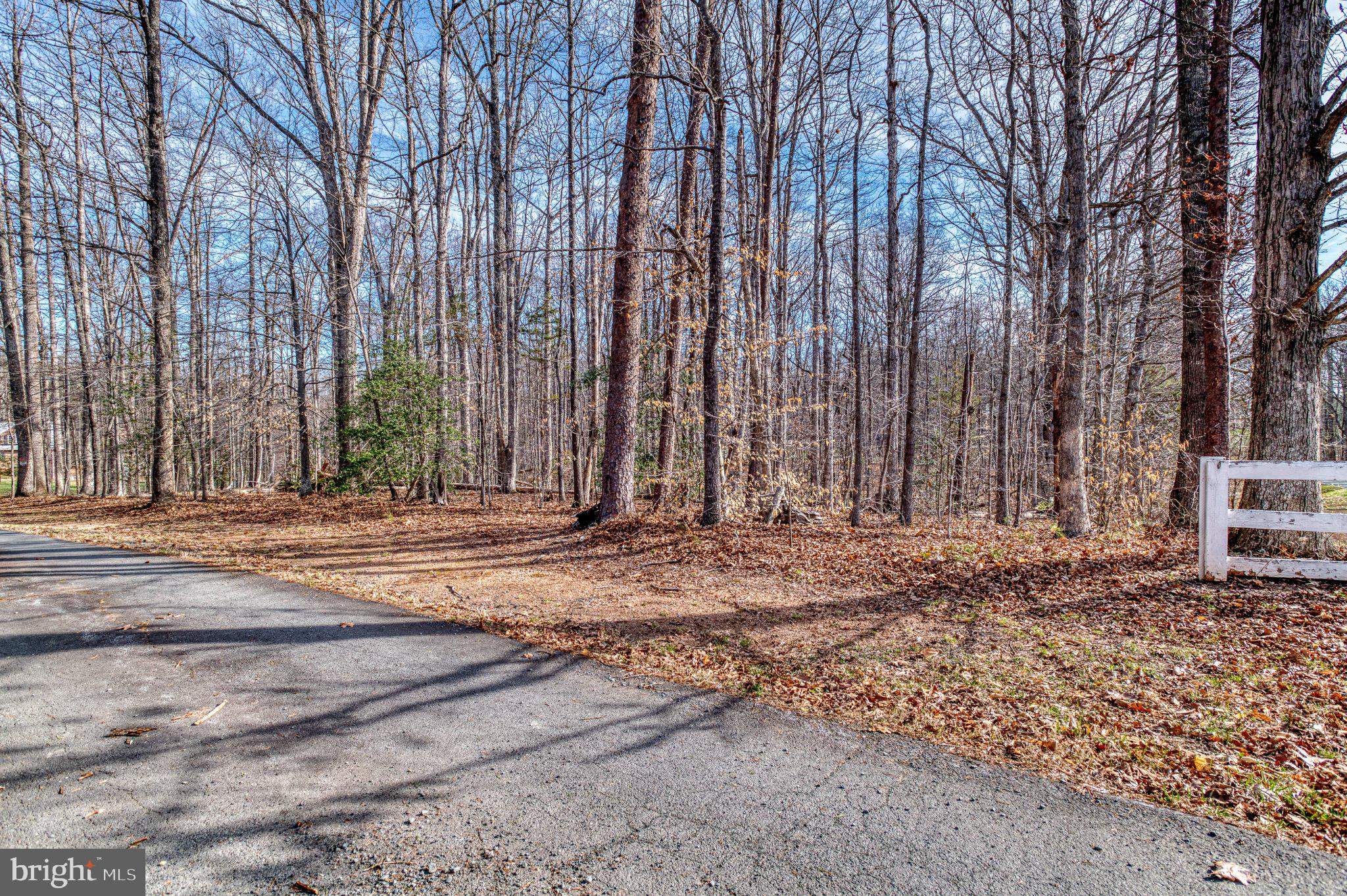 3220 Courtney School Road Midland, VA 22728 - Photo 3 of 111 Serene wooded retreat awaits you.