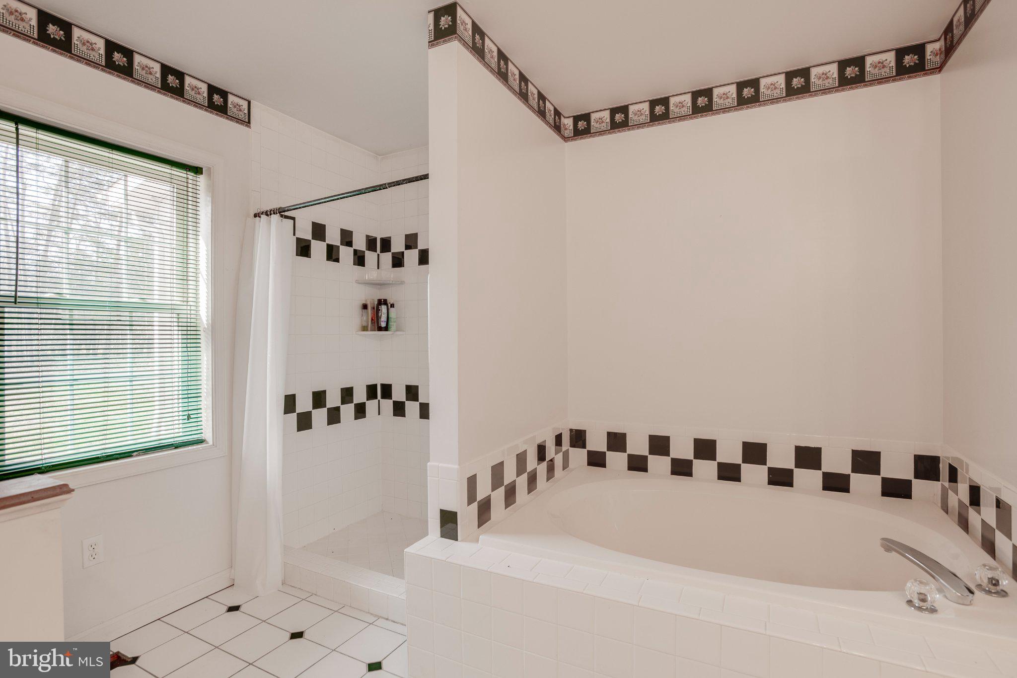 3220 Courtney School Road Midland, VA 22728 - Photo 32 of 111 Bright and airy bathroom retreat.