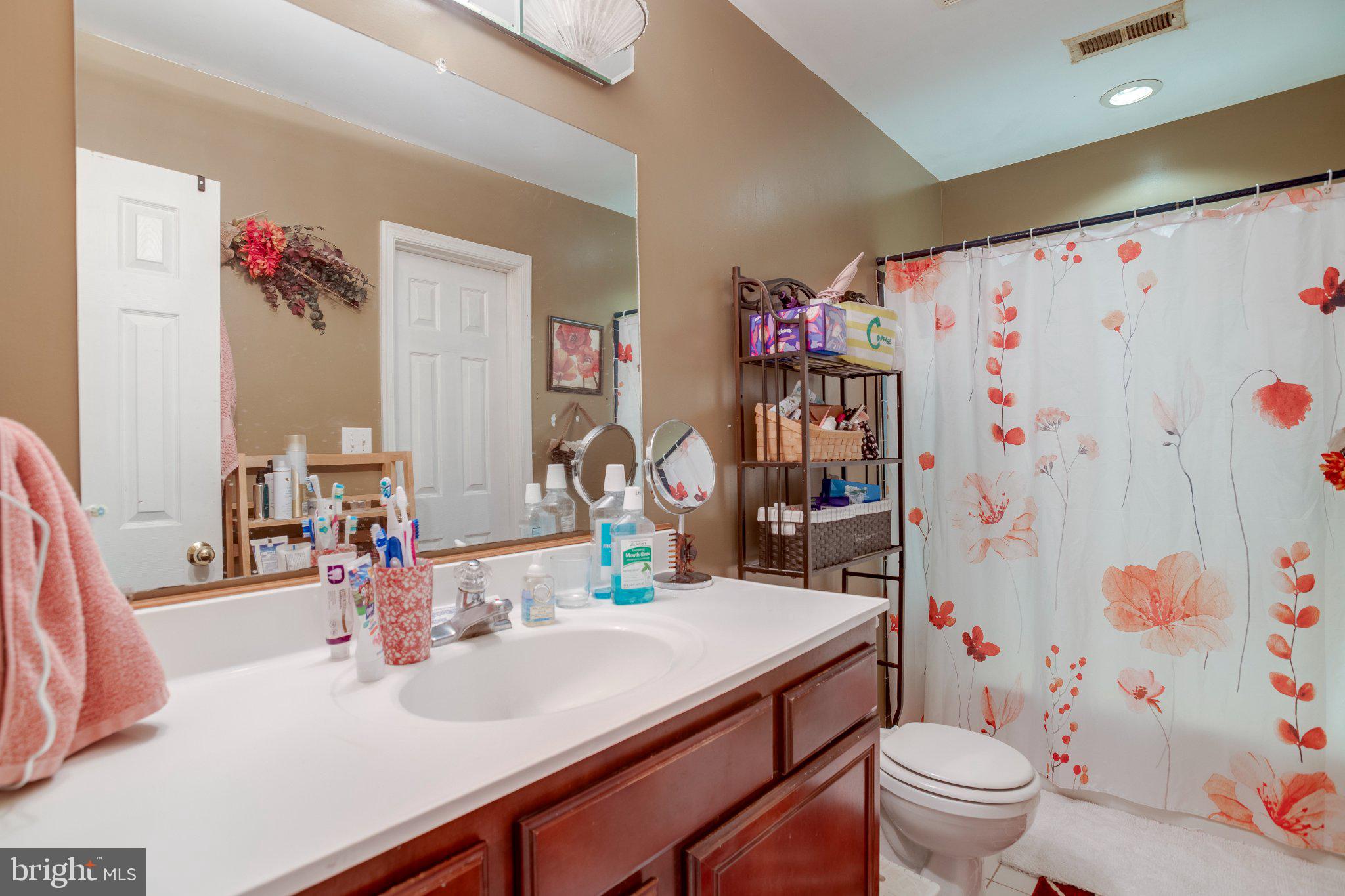 3220 Courtney School Road Midland, VA 22728 - Photo 53 of 111 LLCharming bathroom with floral accents.
