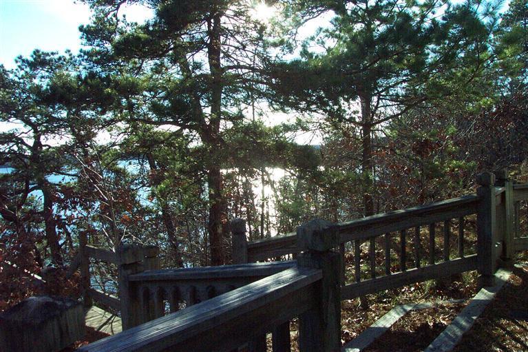 550 Crowells Bog Road Brewster, MA 02631 - Photo 11 of 11 Additional Photo
