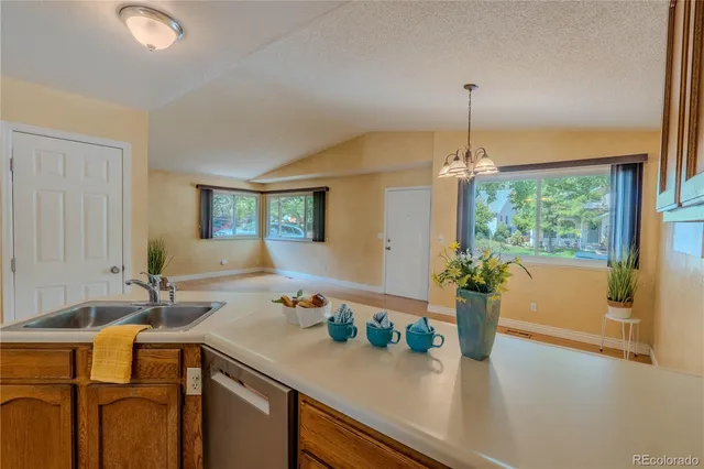 a kitchen with a sink and a potted plant