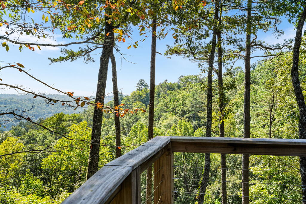 3160 Morrow Road Murphy, NC 28906 - Photo 50 of 67 Gallery Image 50