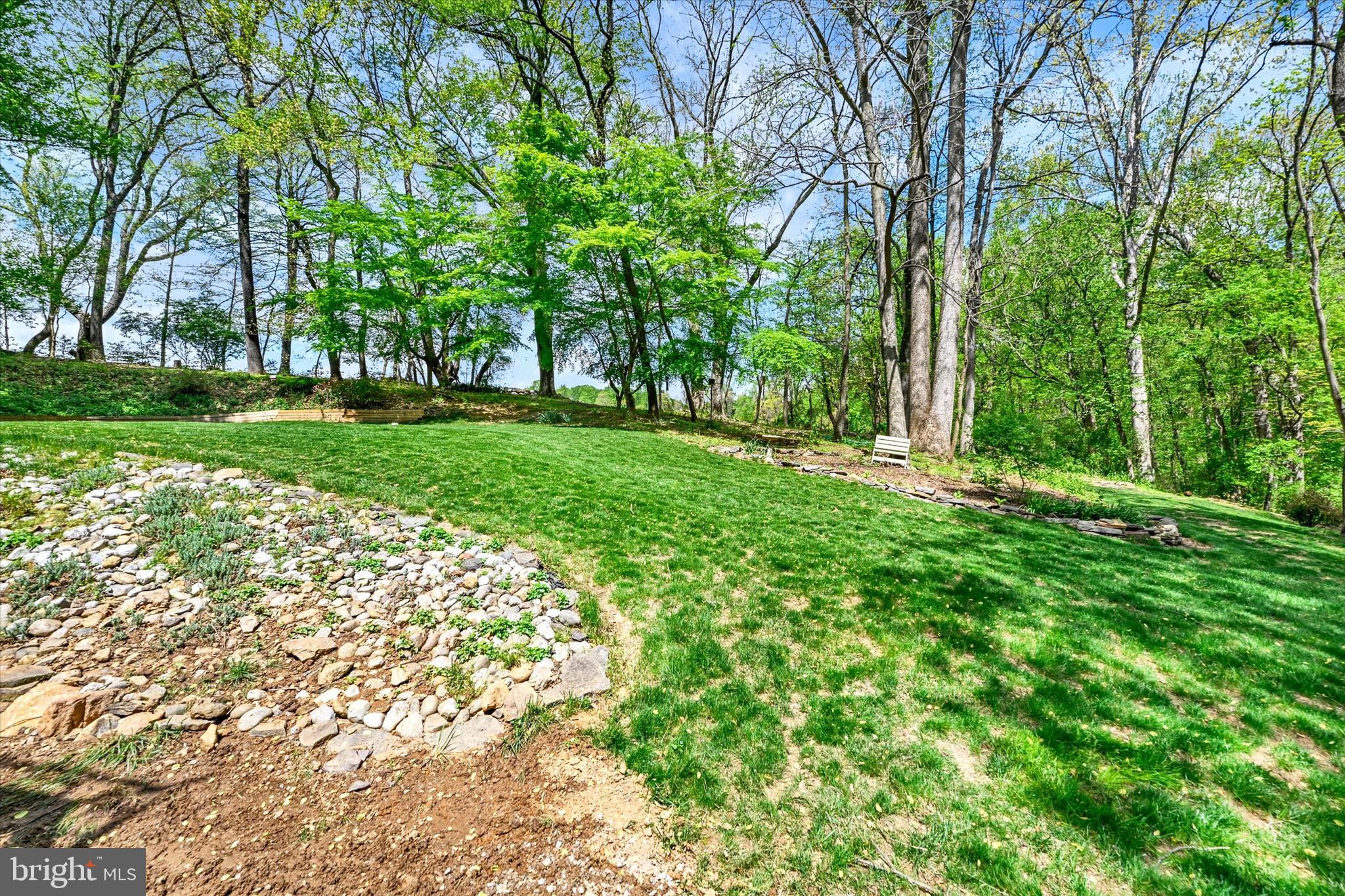 6 Drew Court Baldwin, MD 21013 - Photo 32 of 39 a view of backyard with large trees
